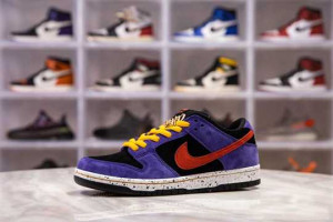 NIKE SB DUNK LOW ACG TERRA - NK19