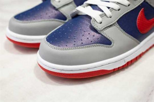 NK DUNK LOW 