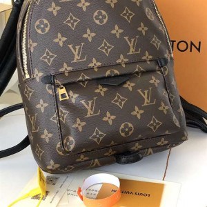 LOUIS VUITTON PALM SPRINGS PM - WLM200