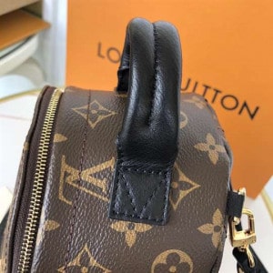 LOUIS VUITTON PALM SPRINGS MINI - WLM201