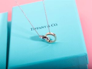 TIFFANY & CO. JEWELREY - WJL64