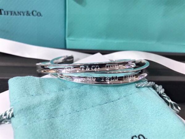 TIFFANY & CO. JEWELREY - WJL78