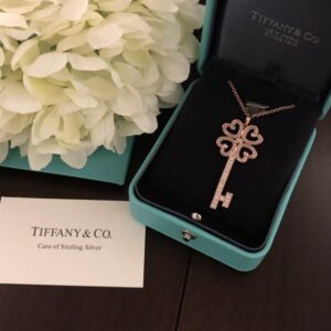 TIFFANY & CO. JEWELREY - WJL80