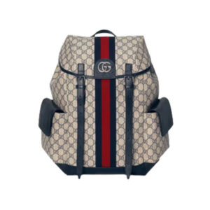 Gucci Ophidia Gg Backpack - GC18