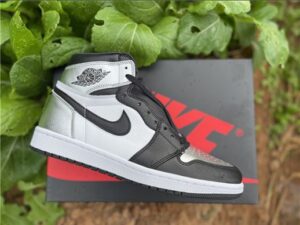 Air Jordan 1 High OG - AJH021