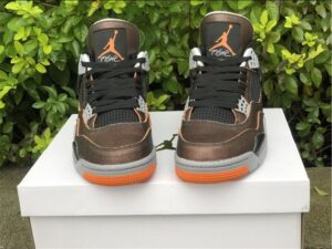 Air Jordan 4 WMNS Starfish - AJH091