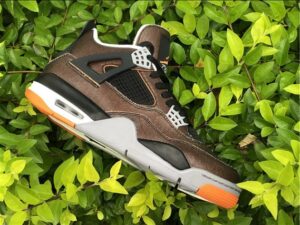 Air Jordan 4 WMNS Starfish - AJH091