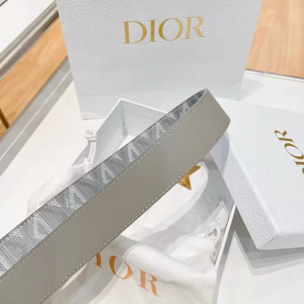 DIOR BELT - B098