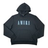 Amiri Hoodie - SAV039